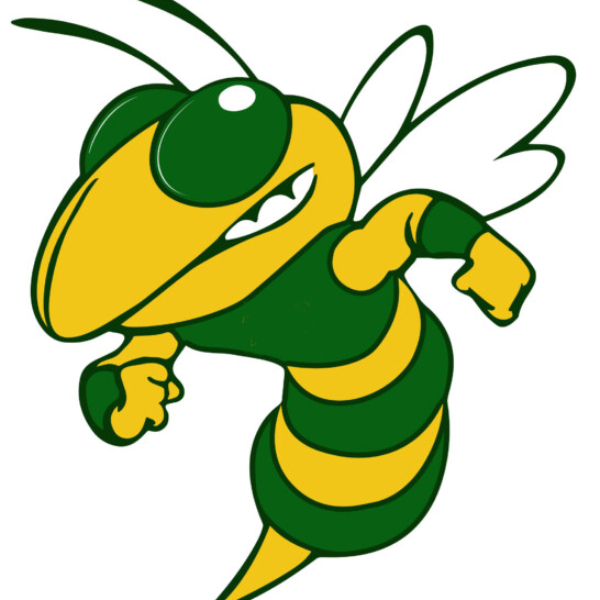 Group logo of Stingers
