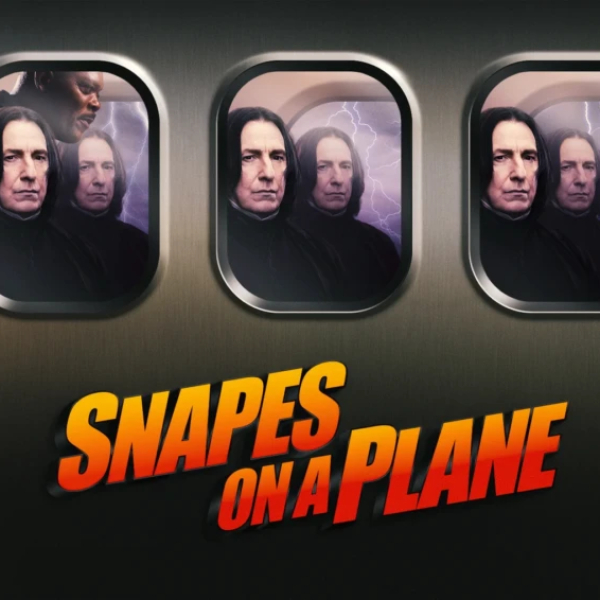 Group logo of Snapes on a plane