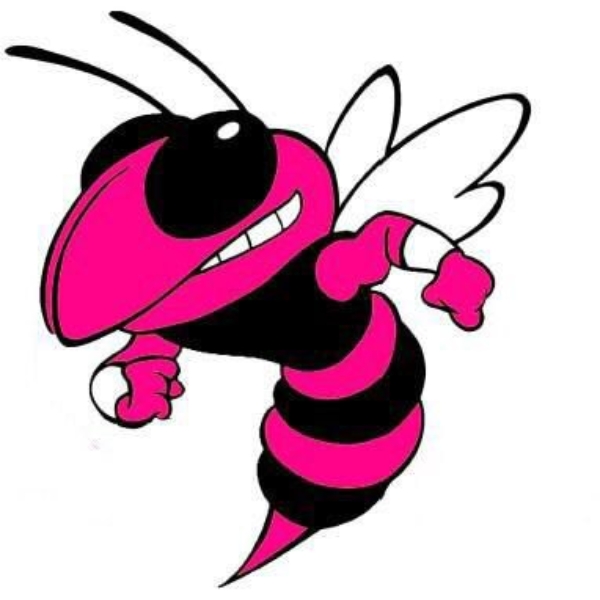 Group logo of Hornets