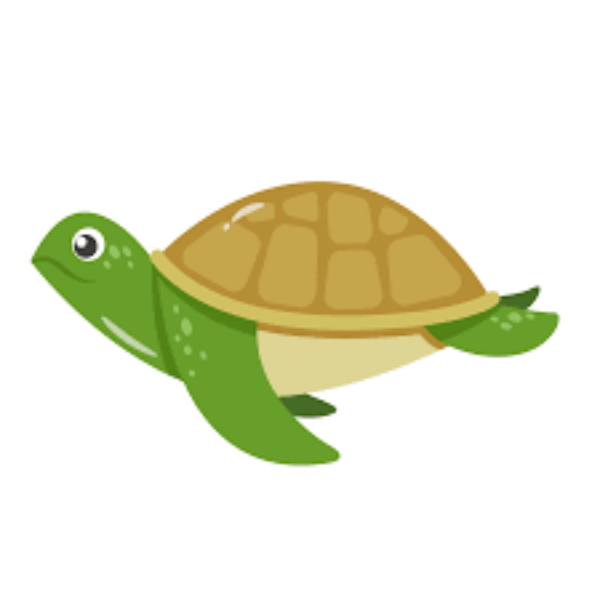 Group logo of Turtles
