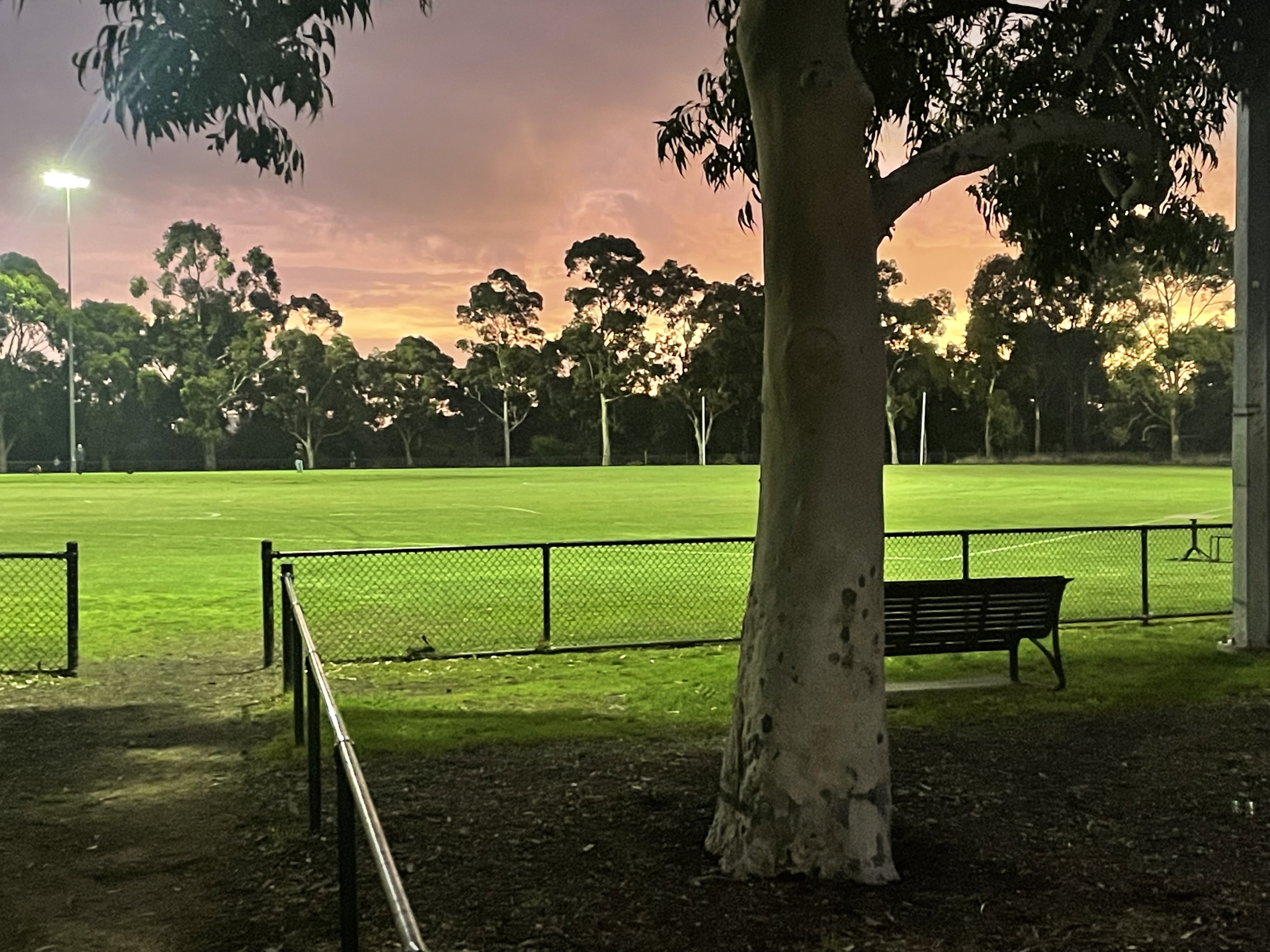 Sunset over the Western oval, Royal Park