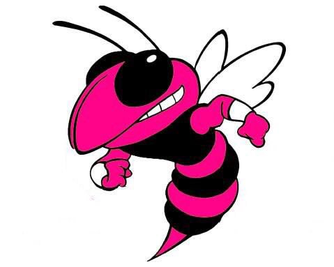 Hornets logo