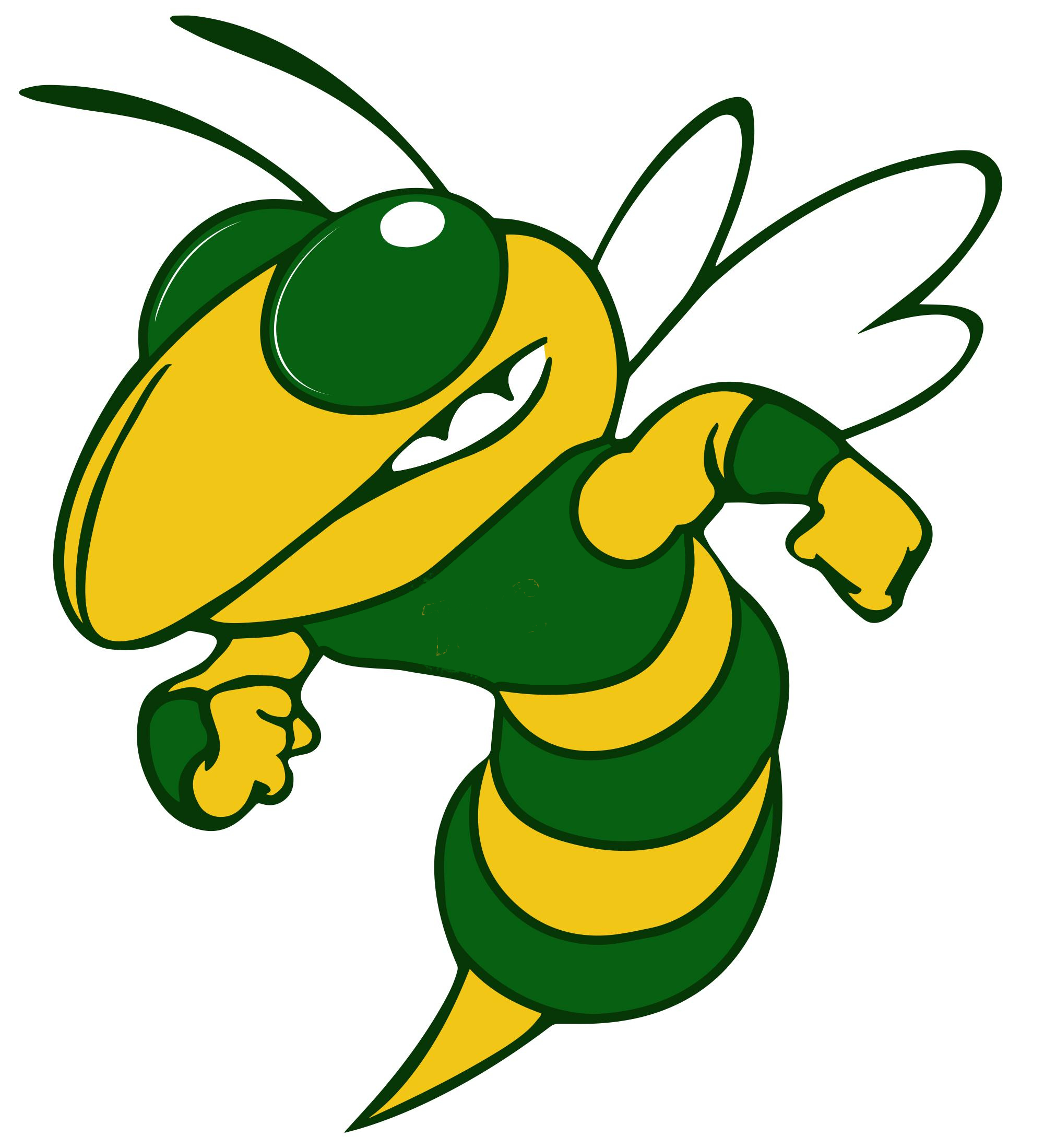 Stingers Logo